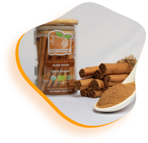 a spoon with powder in it next to cinnamon sticks - Ceylon cinnamon x - Best Cinnamon in Sri Lanka