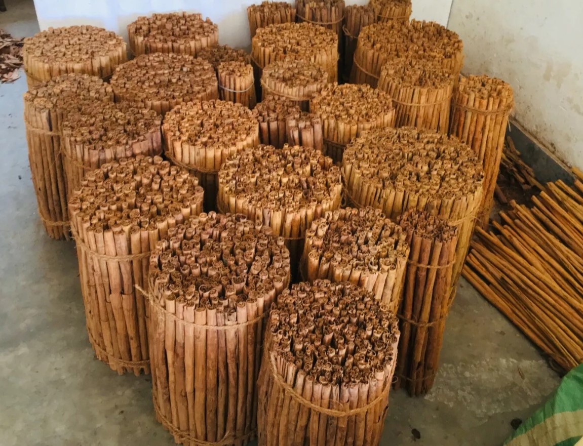 Buy Ceylon Cinnamon Wholesale