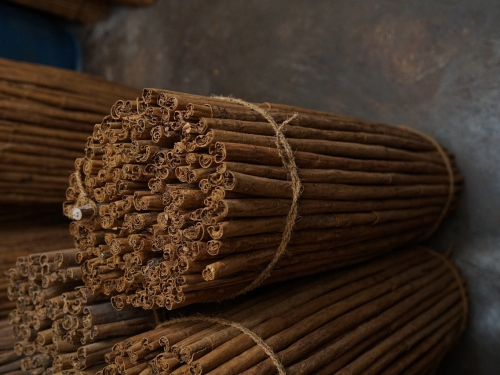 production-of-the-ceylon-cinnamon107.49-11