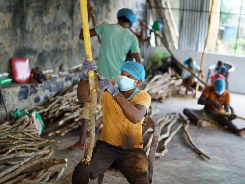production-of-the-ceylon-cinnamon137.54-