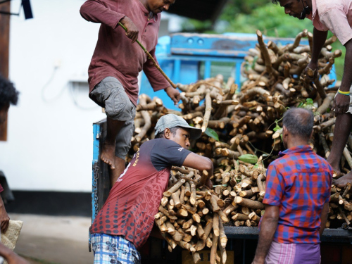 production-of-the-ceylon-cinnamon57.41-1